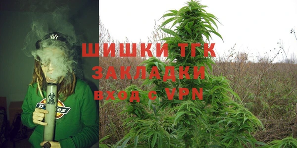 гашик Богородск