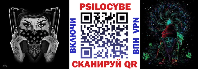 Галлюциногенные грибы Psilocybe закладки Киржач